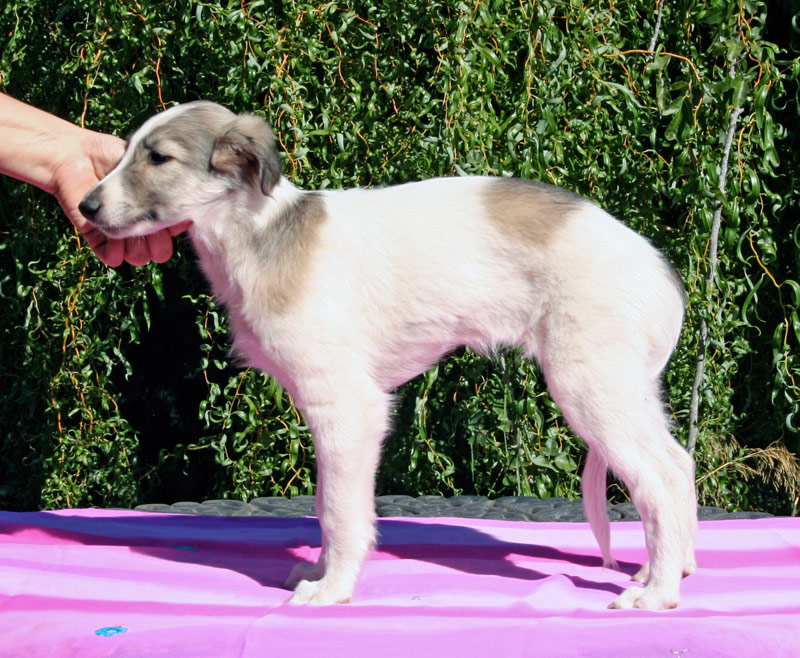 Surf Spots - Girl 2 Left